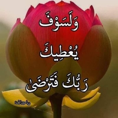اميره الشوق (@vx57s5d4) on Twitter photo 