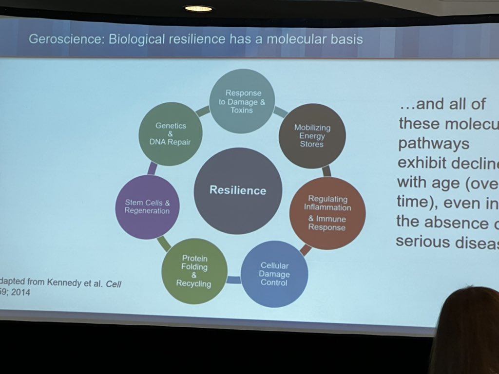 Dr. Heather Whitson <a href="/ClinSTARCC/">Clin-STAR Coordinating Center</a> Annual Meeting explains the importance of “resiliency” in older adults recovery from major &amp; minor health threats <a href="/MrDisability/">Thomas Gill</a> <a href="/LonaMody/">Lona Mody, MD, M.Sc</a> <a href="/JeremyWalstonMD/">Jeremy Walston MD</a> How should #GeriEM assess resilience? <a href="/AGEM_SAEM/">AGEM</a> <a href="/theGEDC/">The Geriatric Emergency Department Collaborative</a> <a href="/replynickel/">Christian H. Nickel</a> @DrSimonPM #ClinSTAR22