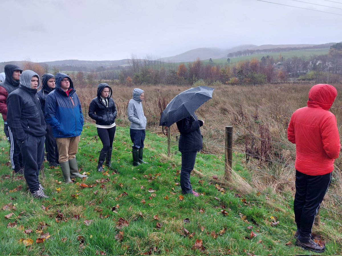 Dr Ian Pattison tweet media