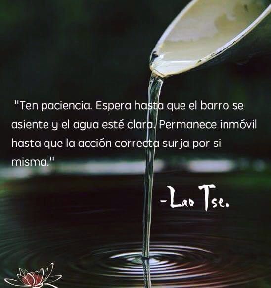 avanzandoacasa's tweet photo. 🌊 https://t.co/QQIeU94RpL
