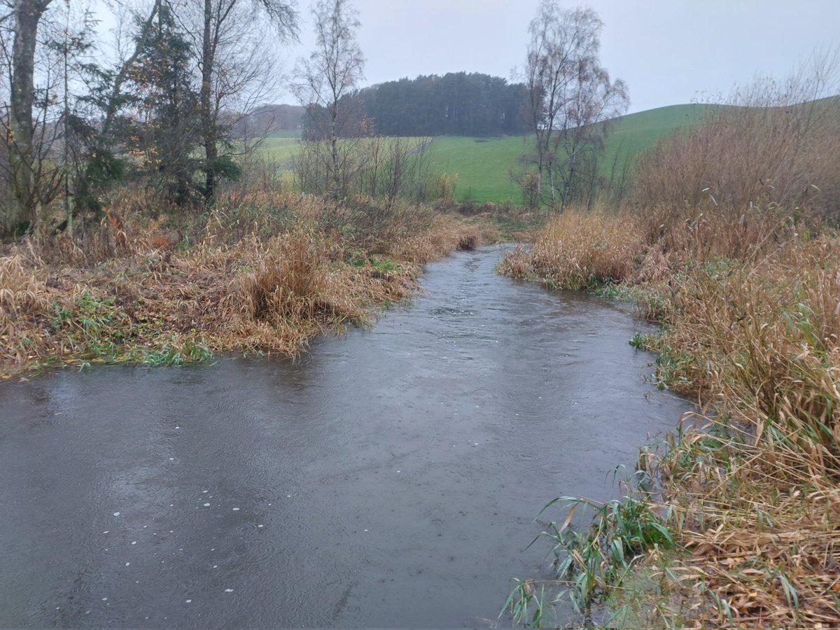 Dr Ian Pattison tweet media