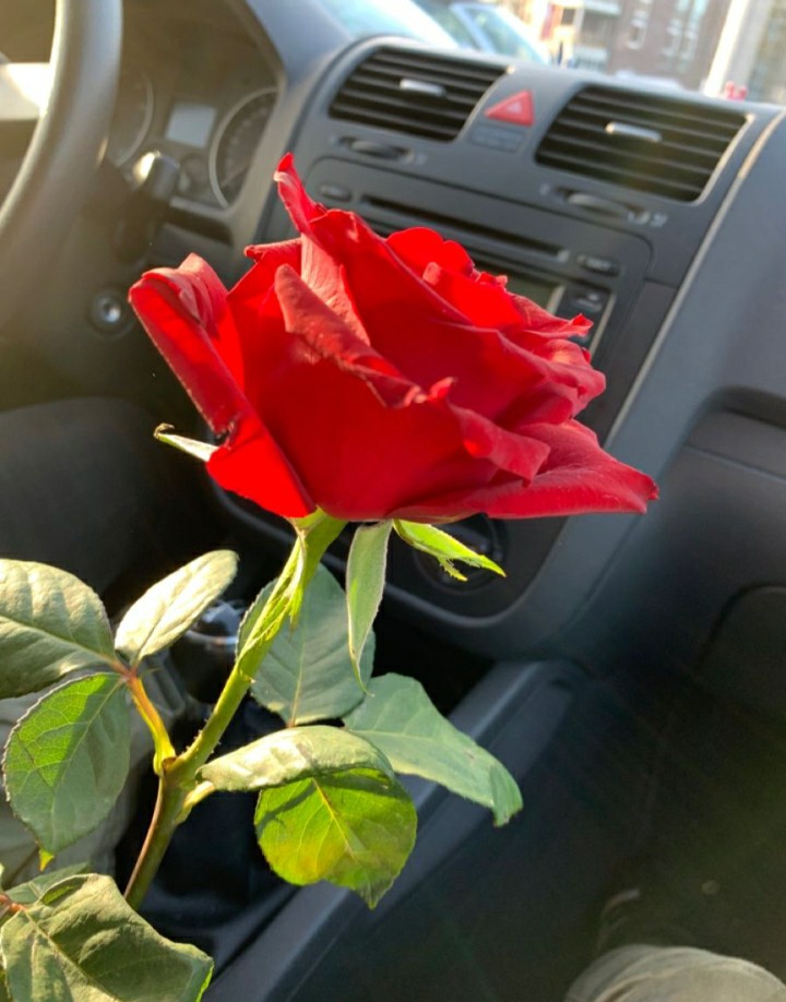 NCR1808's tweet photo. #HappyWed ... 😁

- Live Simply
- Love generously
- Care deeply
- Speak Kindly

¡ With that is enough
               and easy to lead life..!

   💙🌹💙 https://t.co/qIcSBZ5P6k