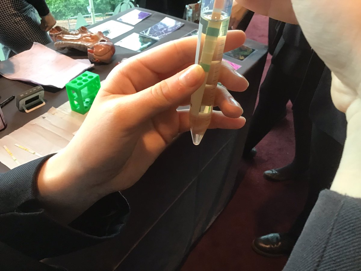 HGS_STEM tweet media