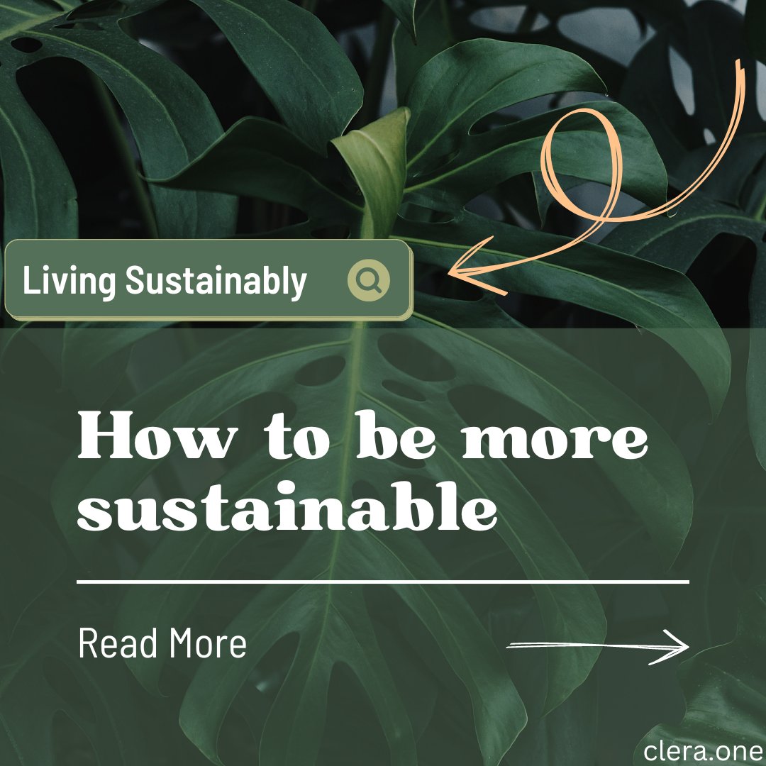 CleraOne's tweet photo. -Look for and purchase certified sustainable products
-Drink tap water/Avoid single-use water bottles
-Buy less, consume less, throw away less
-Prioritize alternative methods of consumption

Check https://t.co/b4b4YDfsEm 'solution' part for more

#sustainability #environment #eu https://t.co/ZTOBZ0rNm0