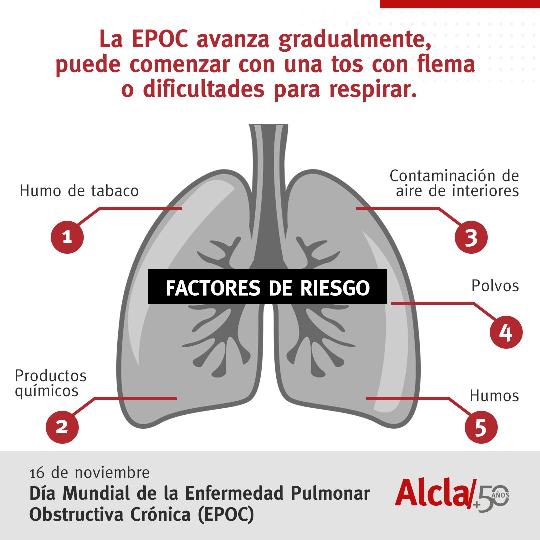 ClinicaAlcla's tweet photo. En el Día Mundial de la EPOC visibilizamos a la enfermedad para mejorar las tasas de reconocimiento y correcto diagnóstico.

#RehabilitaciónIntegral #50añosDeExcelenciaMédica #Alcla  #Alcla50años #DíaMundialDeLaEPOC https://t.co/2OBMznWuBM