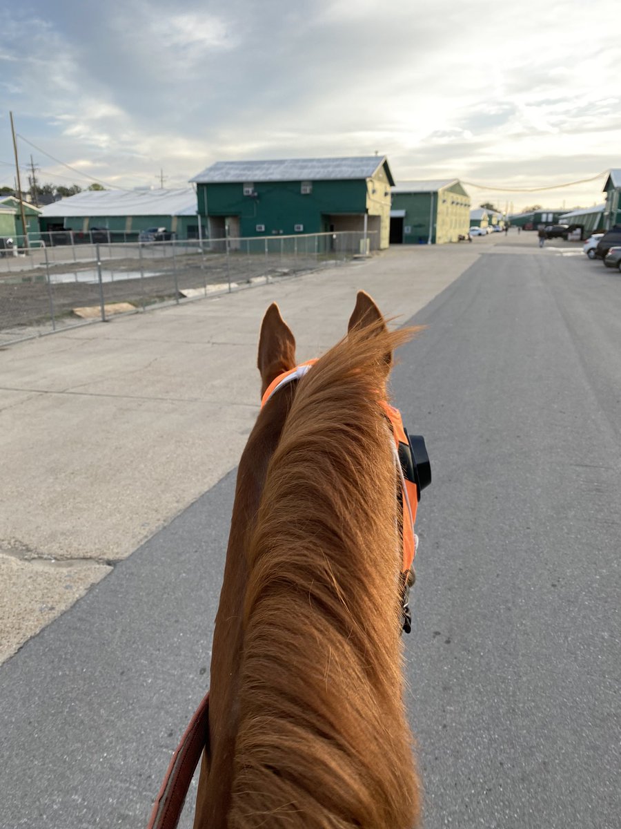 skurtz_05's tweet photo. Life always looks better between your ears #spookychannel #spookacorn @fairgroundsnola @jbark131 https://t.co/6NC6gT6eDg