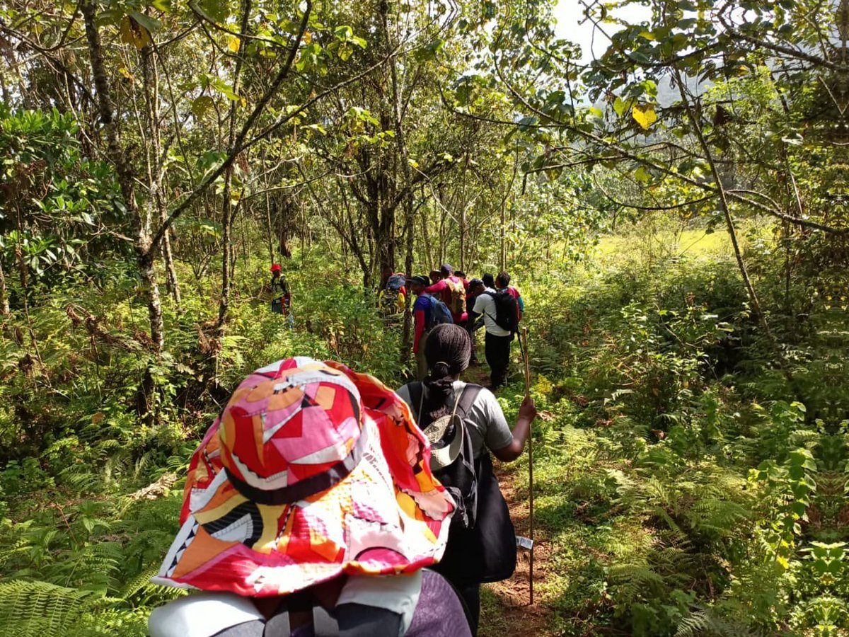 AberdareCDream's tweet photo. Hike and mindfully connect with the earth 🌍 #Hike #Hiking #GroupHike #Travel #GroupTravel https://t.co/nnhhsKf9cy