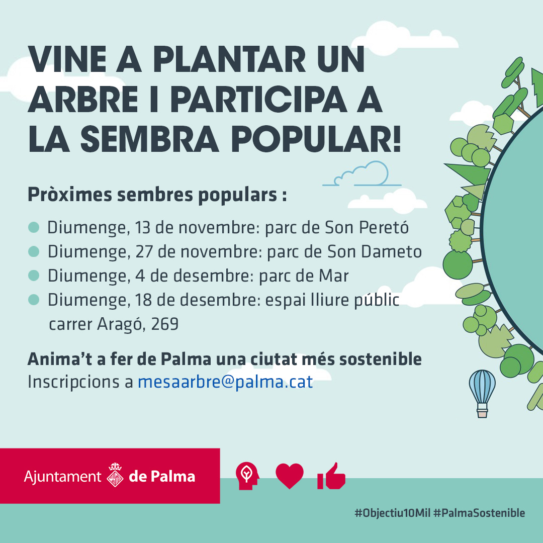 ajuntpalma's tweet photo. 👉 Durant l'estiu s'han executat les obres a aquest carrer per rebaixar voravies, polir l’asfalt, instal·lar nou enllumenat i crear nous escocells 

📅 La pròxima #sembrapopular tindrà lloc al parc de Son Dameto dia 27 de novembre 

✍️ Inscripcions a mesaarbre@palma.cat https://t.co/wPSQI1KU5P