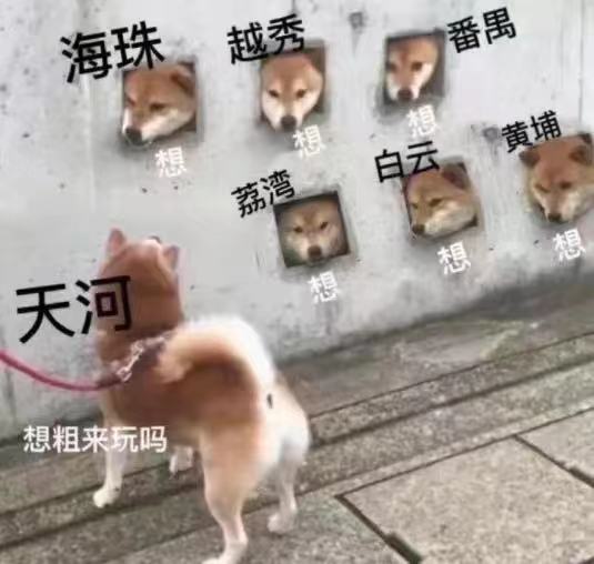 魔法部小萱萱 tweet media