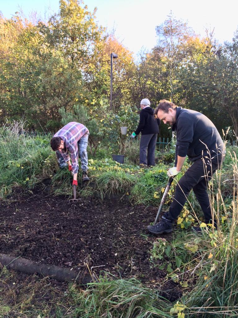 HarmonyGG's tweet photo. We've been busy again! In between the rain, Mike harvested some lovely cauliflower. There's also a lot of maintenance work to be done so Jon and Mike dug out masses of bind weed to prepare the ground. They also learned about apple tree pruning from our garden leader, Ruth. https://t.co/GHczKgO4k2