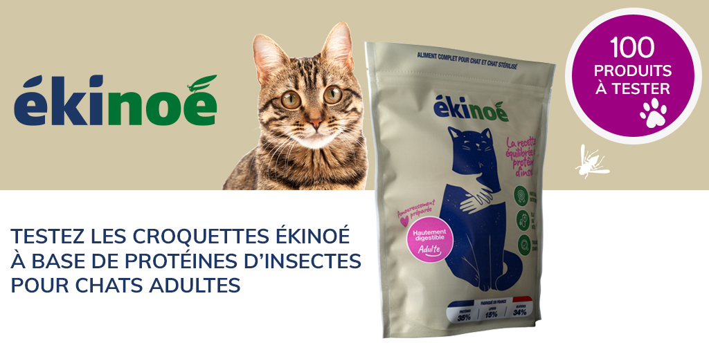 ConsoAnimo's tweet image. Nos amis chats peuvent également tester les croquettes à base de protéines d'insecte 😉

#consoanimo #testproduit #ekinoe

consoanimo.com/test/croquette…