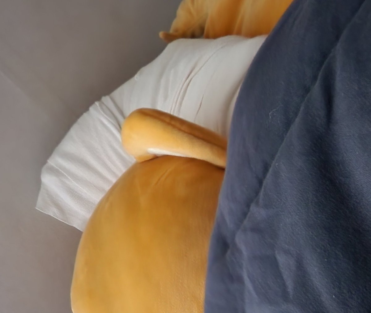 Oo2L__'s tweet photo. 넵.......그렇게 됐네요. https://t.co/ewBHnQDFQp