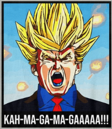 Tim Pool tweet media