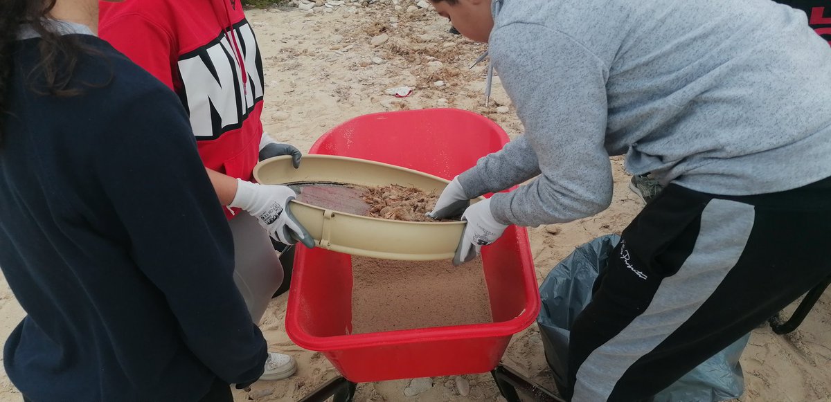 es_cda's tweet photo. S'Arenal de Sa Ràpita,  amb el projecte de servei a la comunitat. L'alumnat de 1rESO @iesdh ha realitzat una tasca excel.lent. #parcnaturalestrencsalobrar @ibanat_IB
Hem retornat posidònia a la 1a línia de mar, previ eliminació dels residus, revegetant, observat les aus. https://t.co/xc8xn4Be3l