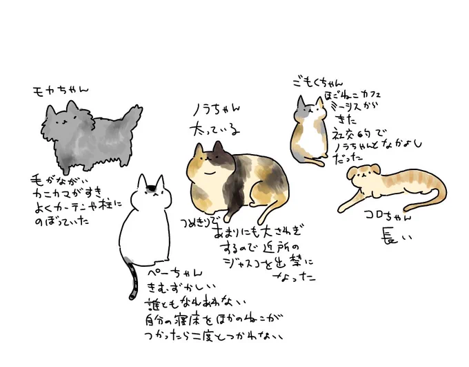 あ!一枚目のねこが三毛猫に進化したわけじゃなく別のねこです!実家には代々5匹のねこが暮らしてました 