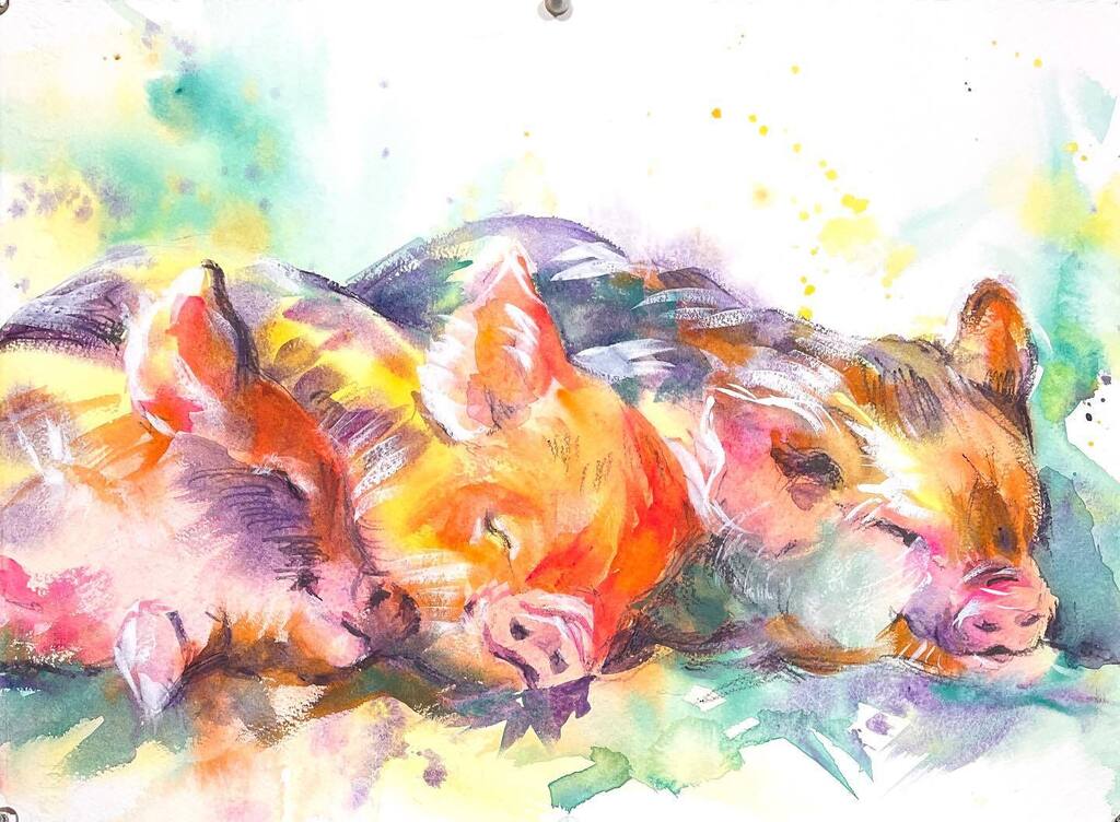 TummyRubbStudio's tweet photo. I think they turned out cute. What do you think? 🐷🐷🐷
.
.
.
#tummyrubbstudio #watercolor #watercolorpainting #watercolorart #watercolorour #watercolorchallenge #watercolour #watercolourpainting #watercolourart #aquarella #livewatercolordemo #freewate… https://t.co/TrLkX4OzGO https://t.co/8Fp42sIAKJ