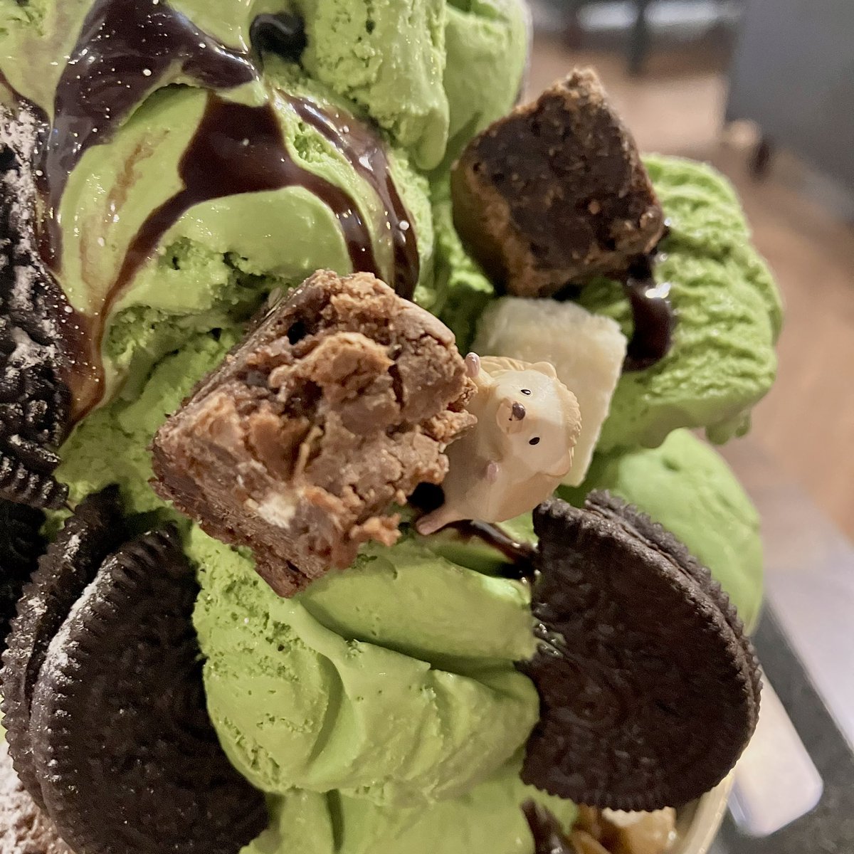 높게 쌓인 말차산을 영차영차 ⛰🦔

대전 🍰 땡큐베리머치
#미니도치_정복기