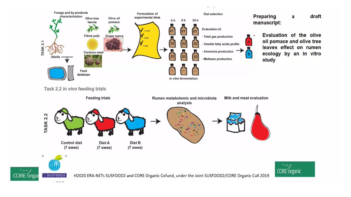 susfood_eranet's tweet photo. 1st results 2019 Joint call projects @CORE_Organic 

- @CarloViti5 development of ruminant diets using Alfalfa with local by-products
- @poultrynsect turning low-value organic side streams into high products 
- Bio4Food reduction in crop waste, providing plant protection products https://t.co/cJAkF17Xx3