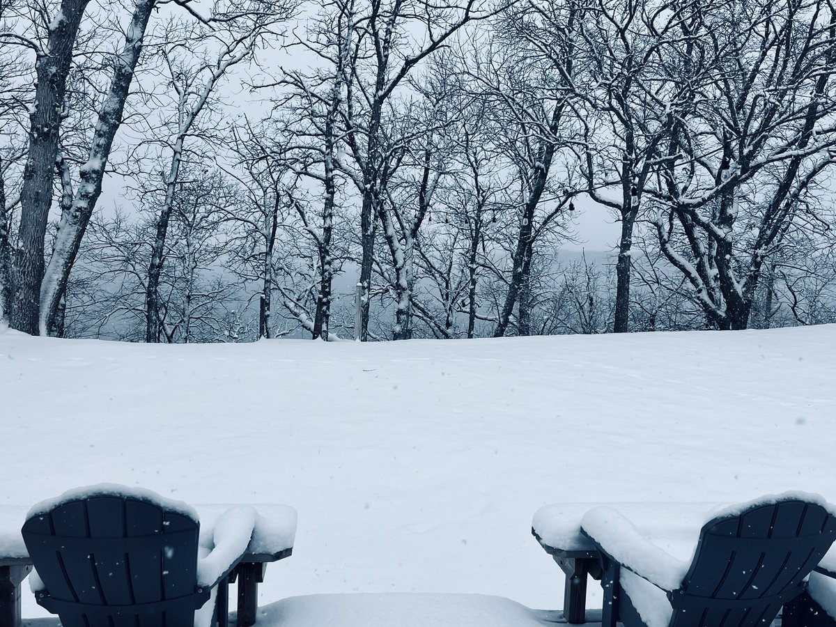 Dave Wolf tweet media