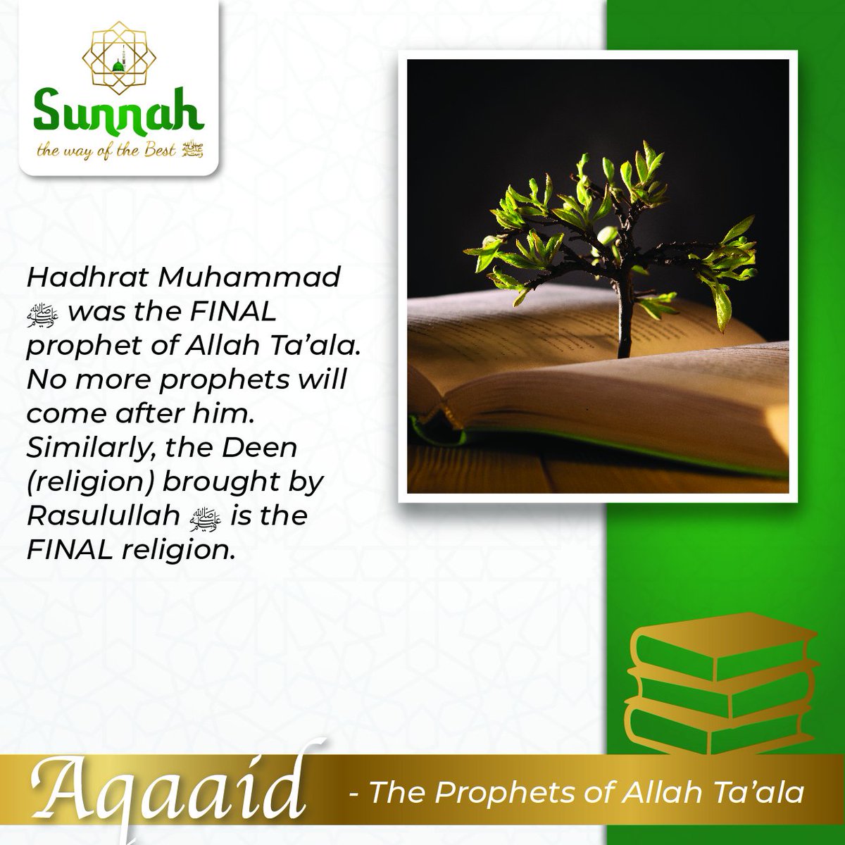 TheWayOfTheBest's tweet photo. #Aqaaid
Nabi Muhammad ﷺ was the #final #prophet of #Allah
The final #religion is #Islam https://t.co/CHrLXEbB7Z