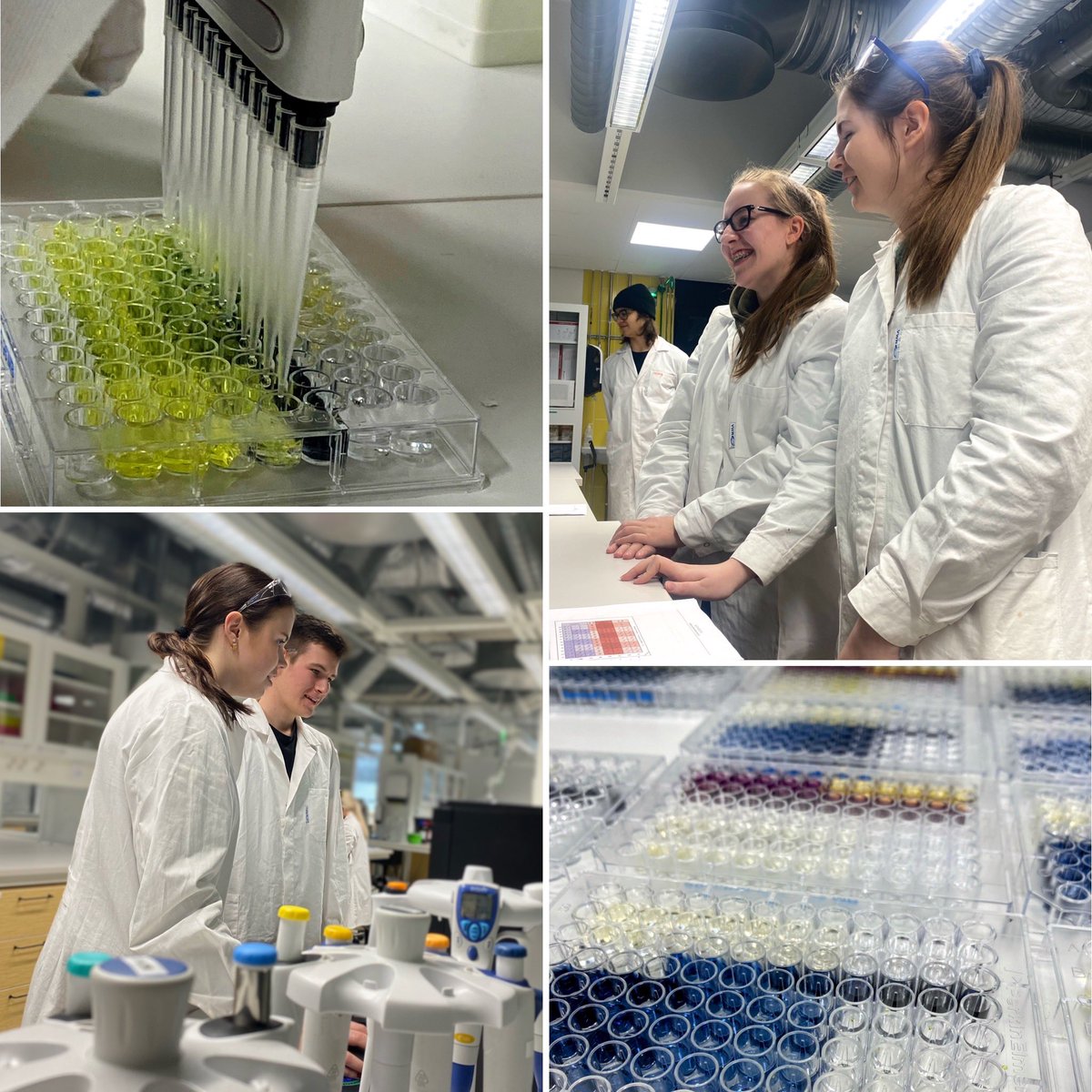 jiipeesalminen's tweet photo. Merkillinen juttu! Opiskelijoiden ohjaaminen tutkimukseen liittyvissä labratöissä 👩🔬👨🔬🌸🍀🧪on aina yhtä hauskaa, koska vuorovaikutusta syntyy rutkasti enemmän kuin normiluennoilla! 😁💯 Tällä viikolla saatiin #luonnonyhdistekemia’n harkkatyöt maaliin 🎯 #analytiikka @UniTurku https://t.co/CcypWfo8hw