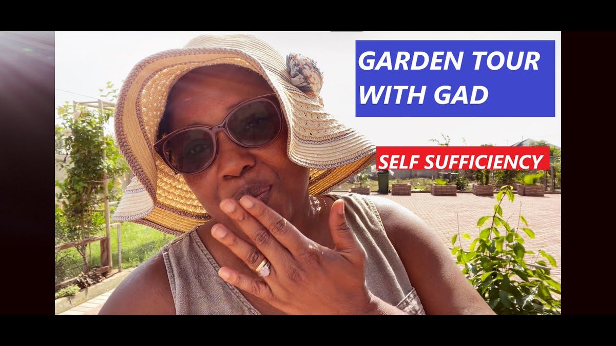 SELF SUFFICIENCY |  GARDEN TOUR ...
 
#BuildingInGhana #BuildingOurHomeInGhana #GardenSupplies #GardenSupply
 
allforgardening.com/308058/self-su…