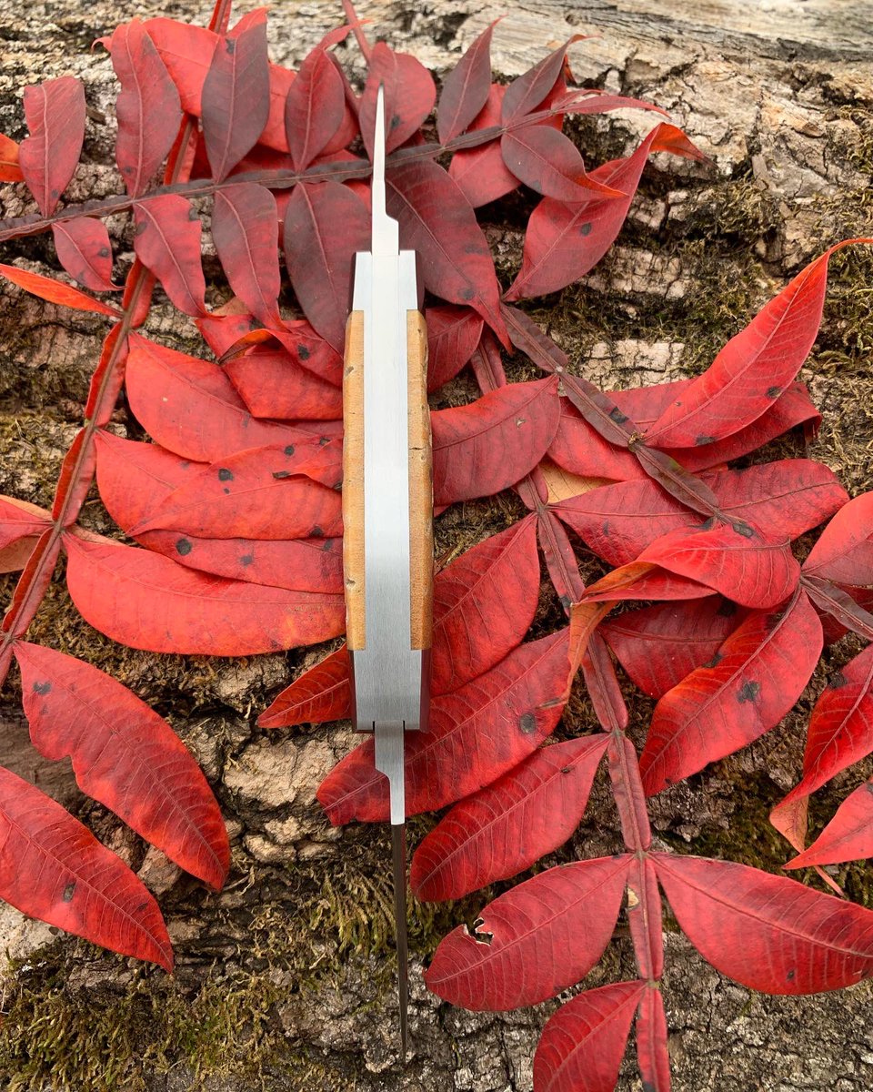 CollumCustom's tweet photo. Muskrat capped 
Petrified whale spine disc
Frame 4” 
#collumcustomknives #collumcustom #knives #traditionalknives #slipjoint #pocketknives https://t.co/qnQItrLTo3