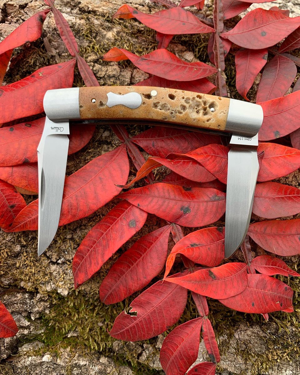 CollumCustom's tweet photo. Muskrat capped 
Petrified whale spine disc
Frame 4” 
#collumcustomknives #collumcustom #knives #traditionalknives #slipjoint #pocketknives https://t.co/qnQItrLTo3
