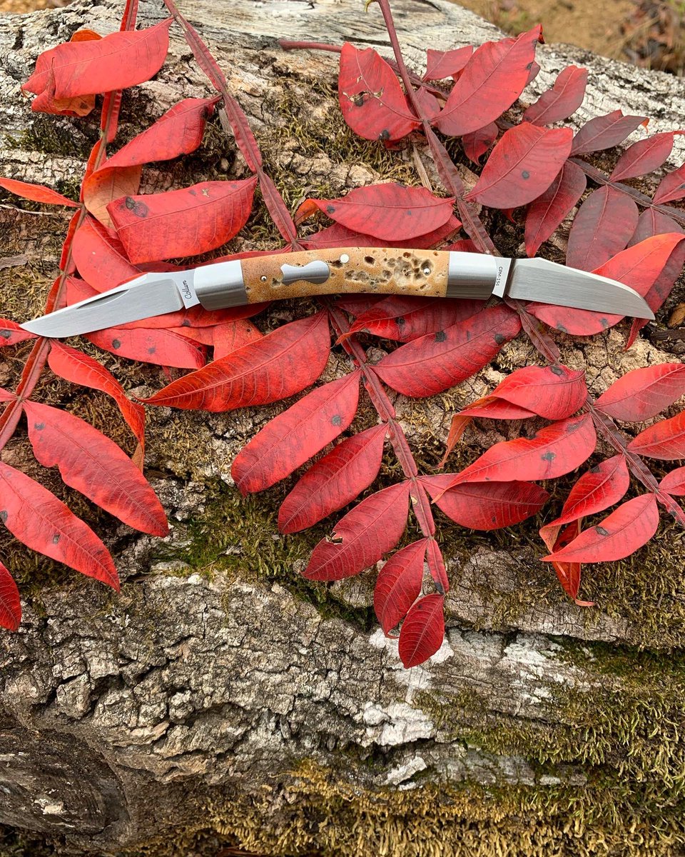 CollumCustom's tweet photo. Muskrat capped 
Petrified whale spine disc
Frame 4” 
#collumcustomknives #collumcustom #knives #traditionalknives #slipjoint #pocketknives https://t.co/qnQItrLTo3