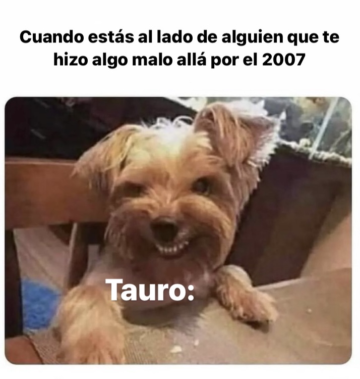 Sí somos 😂😂😂 #tauro #horoscoponegro