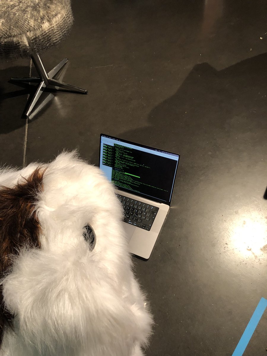 avbelow's tweet photo. Found the perfect candidate at #dlsummit https://t.co/ZsvSlJwNzI