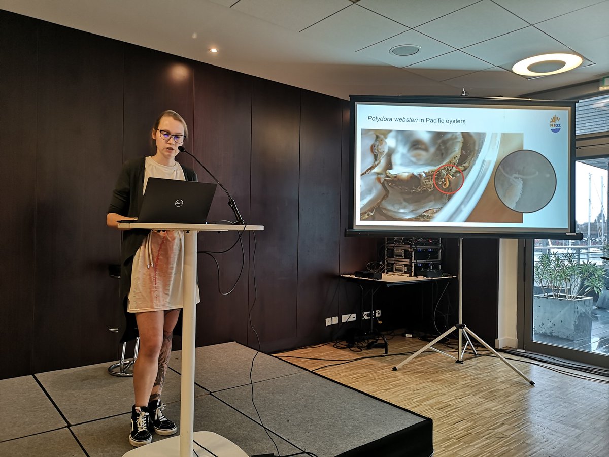 DavidWThieltges's tweet photo. Now at @iseempd in La Rochelle:
Max Willens @crabbymaxie is presenting results from her internship at @NIOZnieuws on a new invasive shell-boring worm which could become a problem for European aquaculture! https://t.co/Gi8CWMTMsW