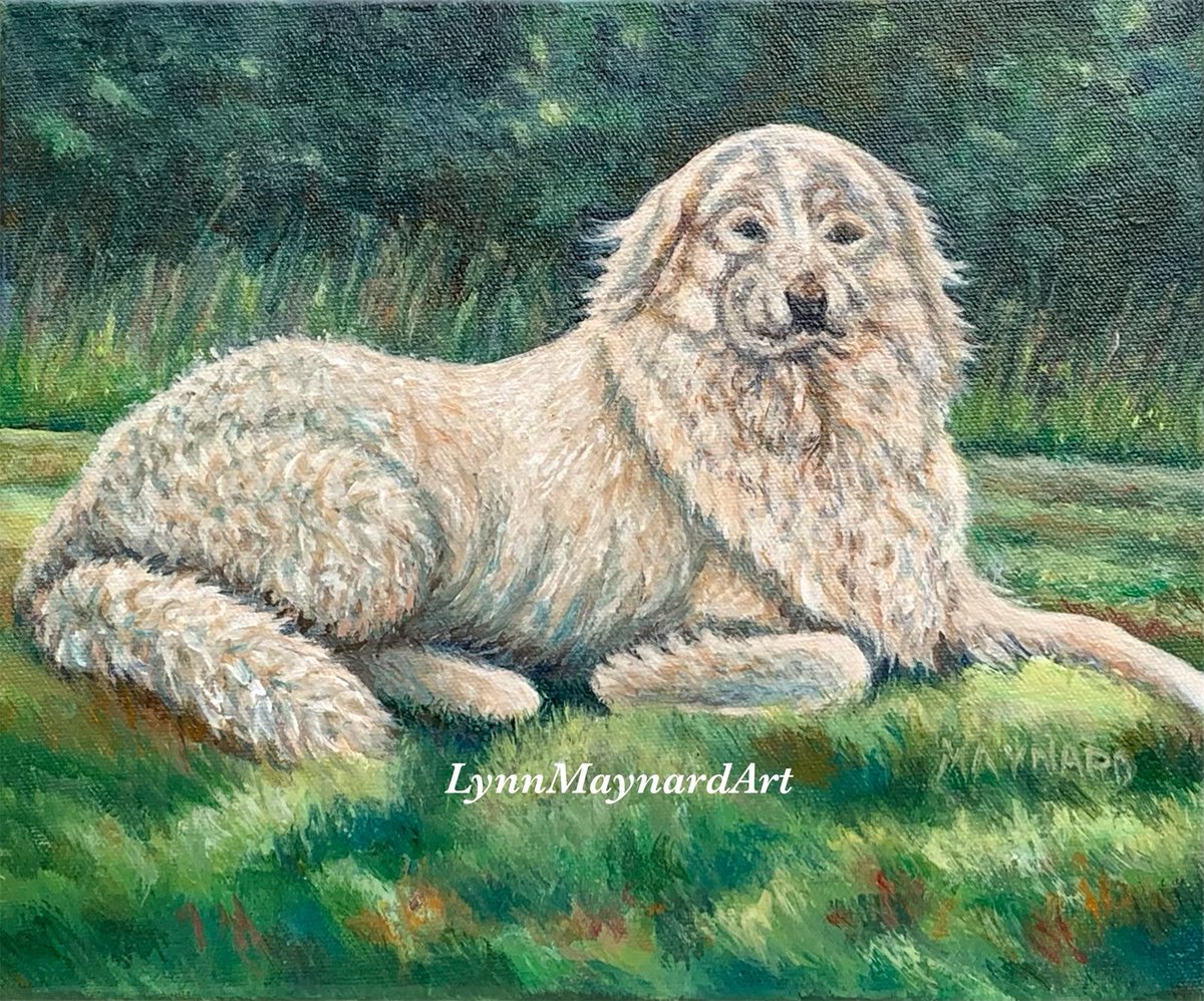 Just finished this portrait of. #GreekShepherd #petportraits #dapplledlight #furryfriend #giftideas #Christmasgifts #impressionism #acrylicpainting #LynnMaynardArt #commissionsopen