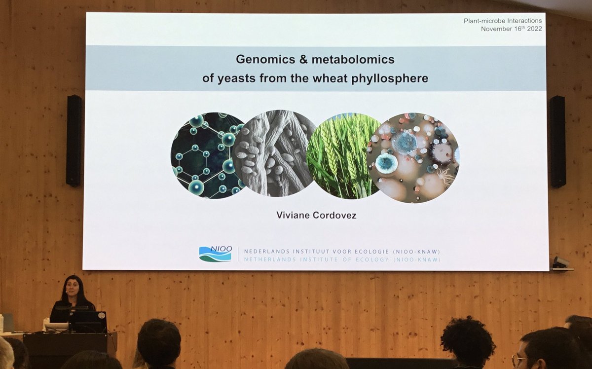 Akos T. Kovacs (@evolvedbiofilm) on Twitter photo Viviane Cordove <a href="/VivianeCordovez/">Viviane Cordovez</a> (from <a href="/niooknaw/">NL Inst of Ecology</a>; <a href="/matrix_projekt/">MATRIX</a>) on comparative genomics and metabolomics of yeasts from the wheat phyllosphere
#flagleaf ▶️10^3-10^5 CFU of yeast/g of leaf
See their <a href="/TrendsPlantSci/">TrendsPlantSci</a> 👇🏼
sciencedirect.com/science/articl…
#PlantMicrobeInteractions2022 Viviane Cordove <a href="/VivianeCordovez/">Viviane Cordovez</a> (from <a href="/niooknaw/">NL Inst of Ecology</a>; <a href="/matrix_projekt/">MATRIX</a>) on comparative genomics and metabolomics of yeasts from the wheat phyllosphere
#flagleaf ▶️10^3-10^5 CFU of yeast/g of leaf
See their <a href="/TrendsPlantSci/">TrendsPlantSci</a> 👇🏼
sciencedirect.com/science/articl…
#PlantMicrobeInteractions2022