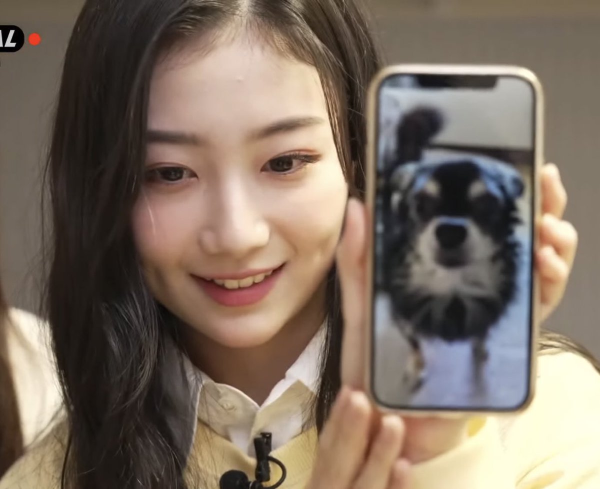 gp37_'s tweet photo. 카에데 강아지 쇼우 😍🐾 https://t.co/DFrKjkCC7B