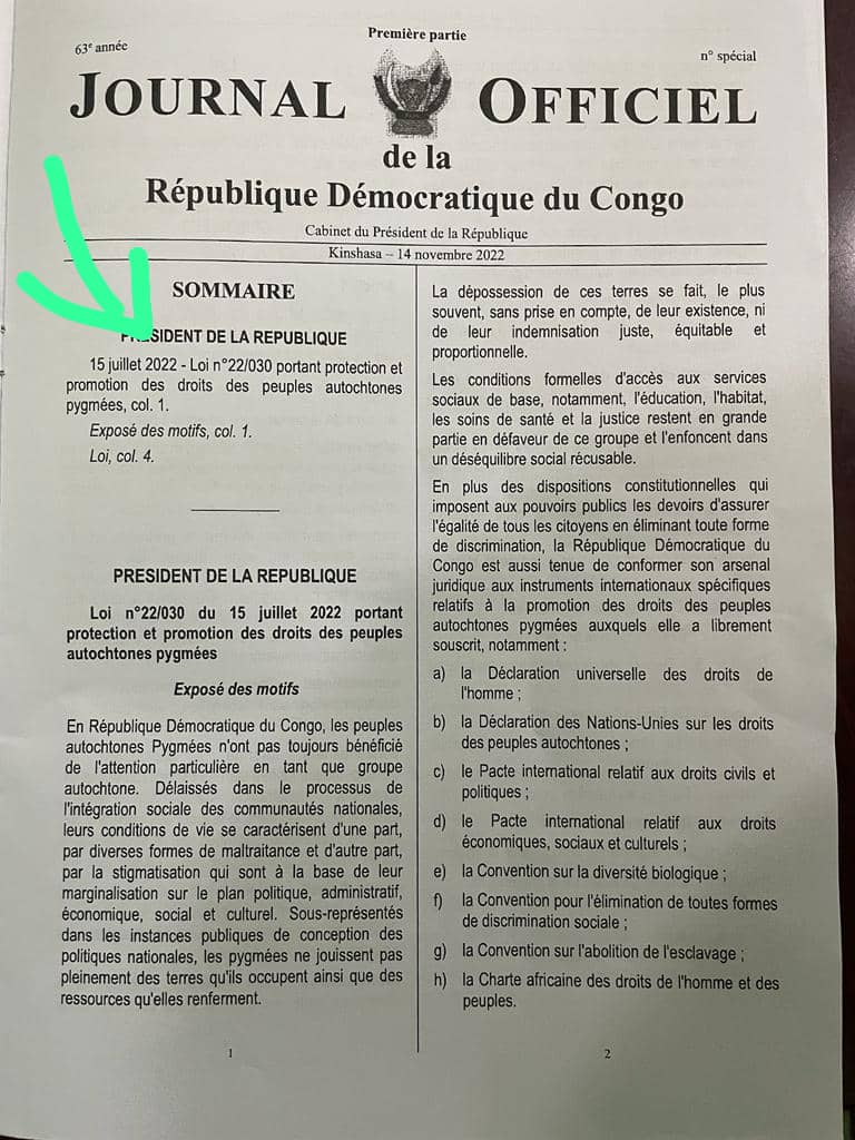 RainforestFoundation tweet media