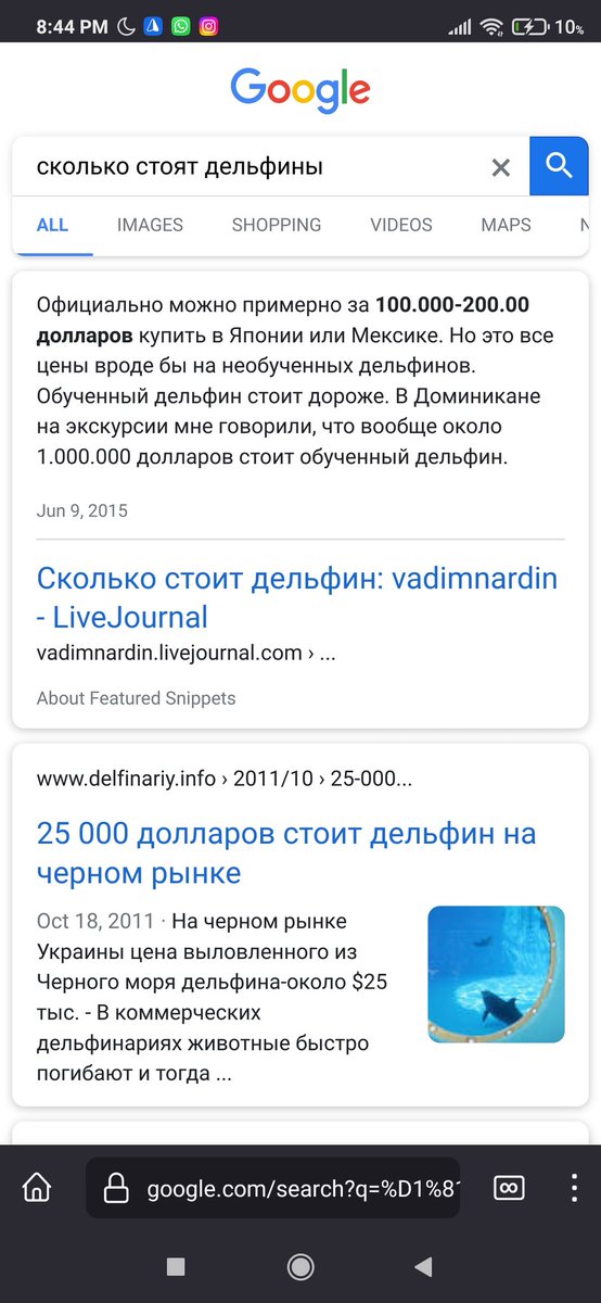 CiicaMP4's tweet photo. ВЫ ЗНАЛИ ЧТО ТОРГОВАТЬ ДЕЛЬФИНАМИ, НУ ОЧЕНЬ ХОРОШАЯ ВЫГОДА. https://t.co/2kHW6e8w5M