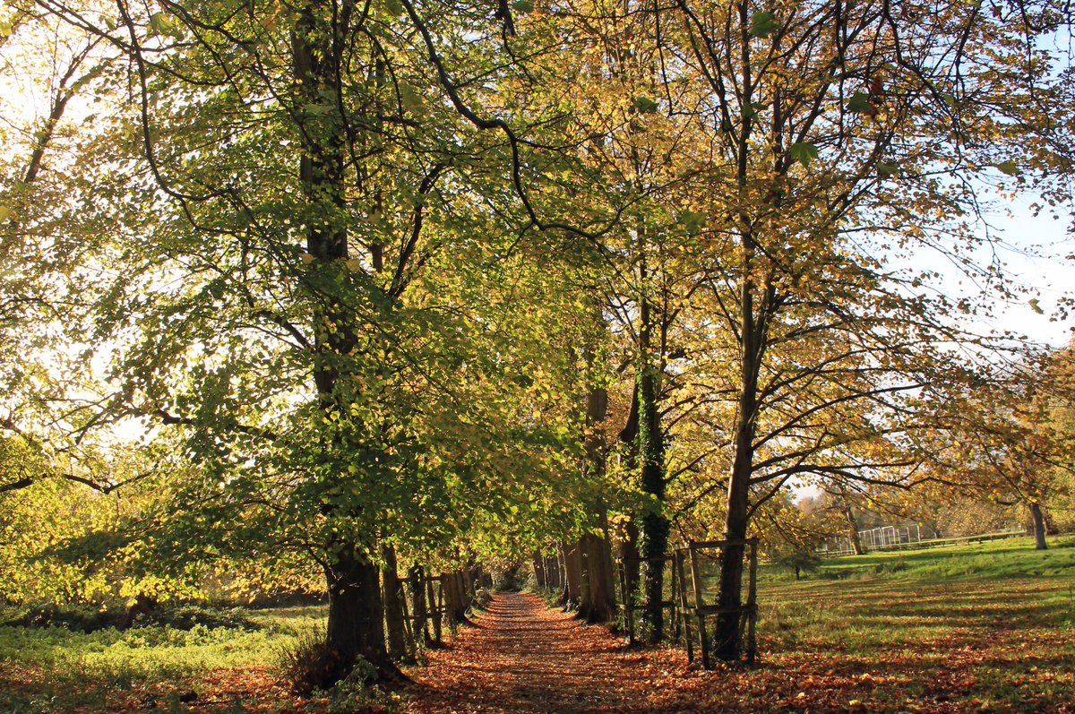 Suzy Hamilton on Twitter "Sunny spells this morning between the rain