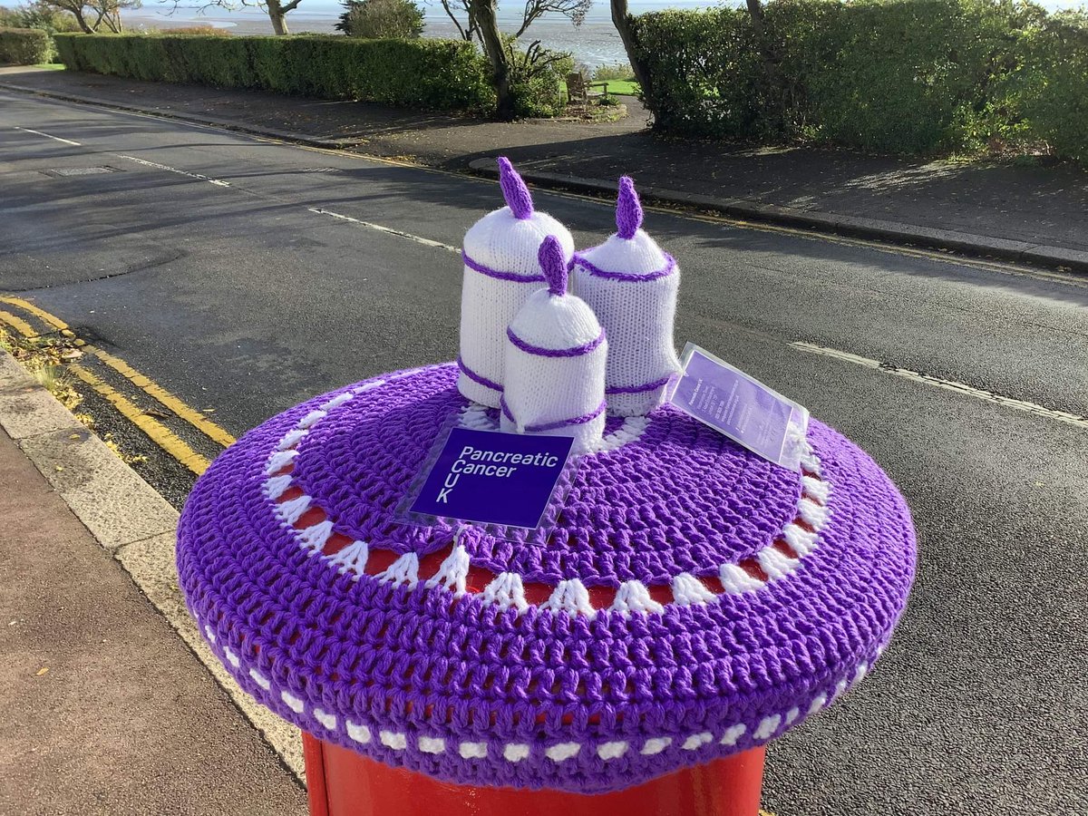 TinaAssenheim's tweet photo. November is Pancreatic Cancer Month and World Pancreatic Cancer Day is the 17th November 2022. I am the local volunteer in Essex for Pancreatic Cancer UK. A lovely local lady called Linda Catling has made this fantastic post box hat it in Marine Parade Leigh on Sea Essex https://t.co/24sALJ0wue