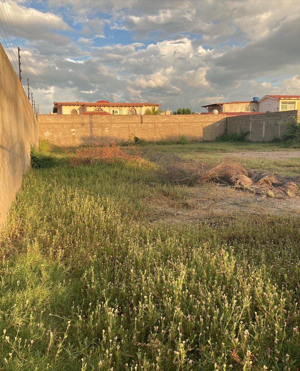 vendoenoriente1's tweet photo. En venta terreno de 874 M2 en la Calle Cumanagoto del sector Morro III, #lecheria , Edo. #anzoategui Tiene 23 metros de frente y 38 de largo. Zonificación R2. #bienesraices #terrenosenventa https://t.co/K4XllwJsYr