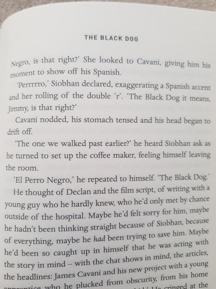 El Perro Negro tweet media