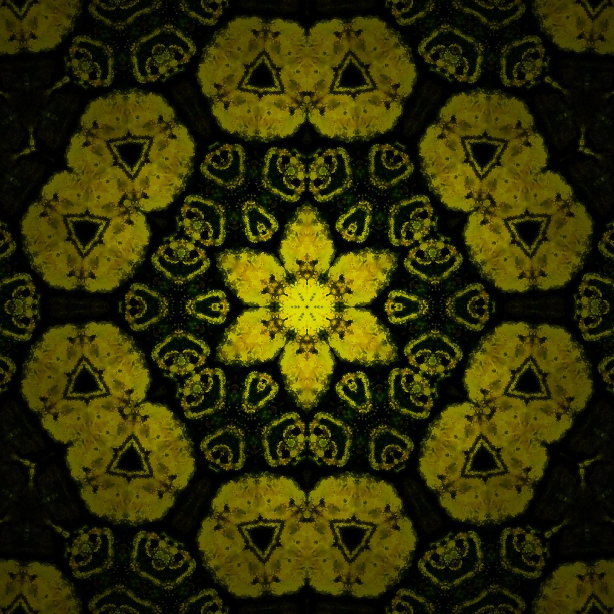 smartfranklinn's tweet photo. The Digital Flowers #36
Here are the flowers for your happiness.
https://t.co/xORmE5l49h https://t.co/9Rn9Ia9PbI