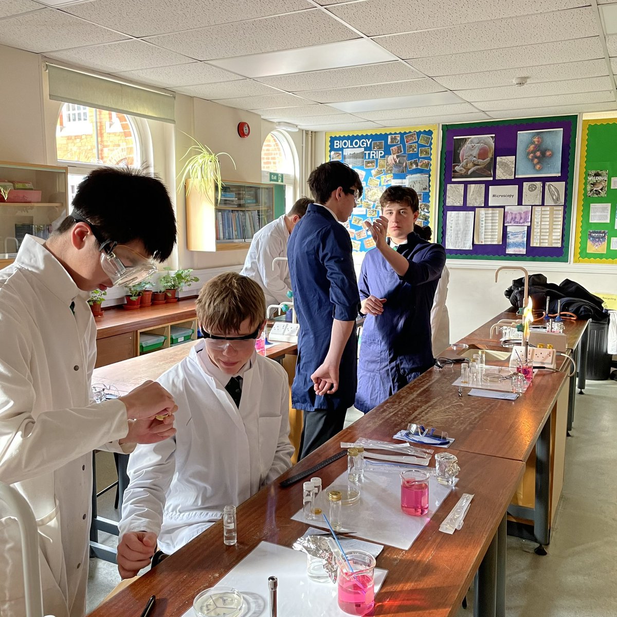 DerbyScientists's tweet photo. Today, Year 11 are investigating the effect of anti microbial substances on the growth of bacteria in their core practical #DerbyBiology #DerbyLearning https://t.co/yHxpgKRQFC