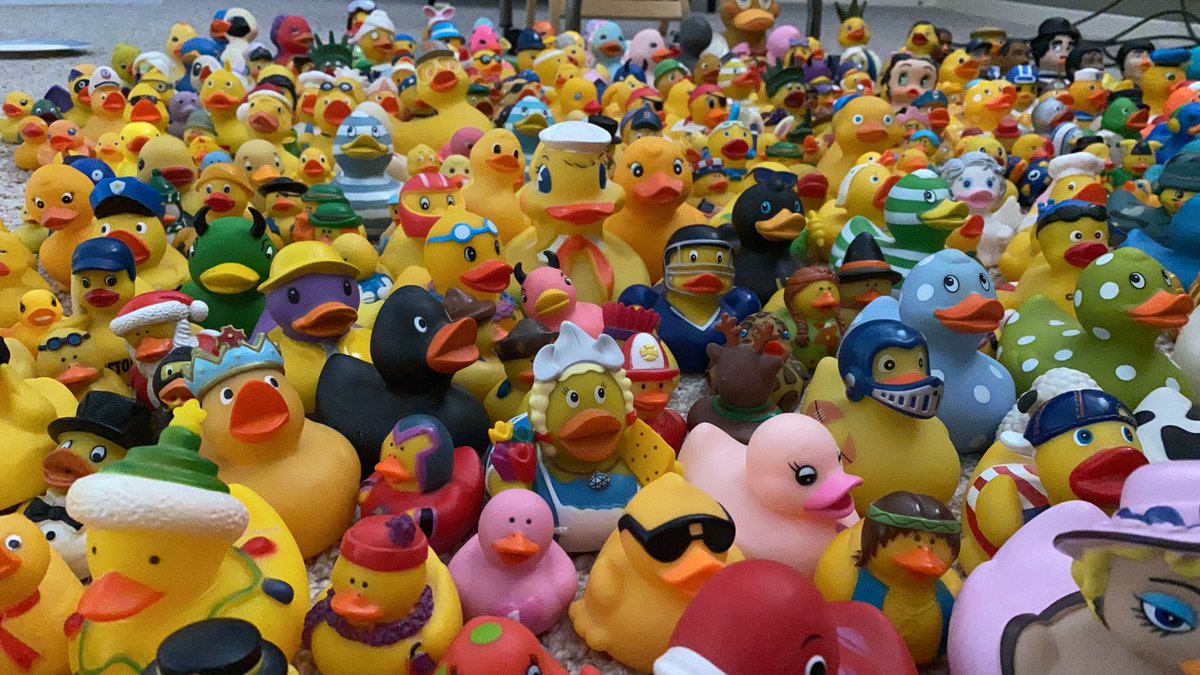 Rubber Duckz tweet media
