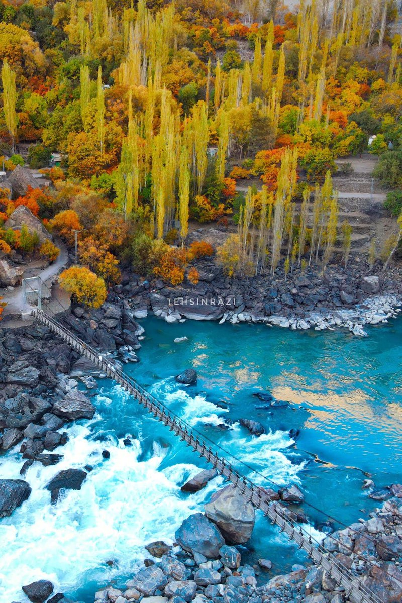 PicturePakistan's tweet photo. Autumn in Northern Pakistan ❤️

Photos: Tehsin razi https://t.co/aYHgXJYaOE