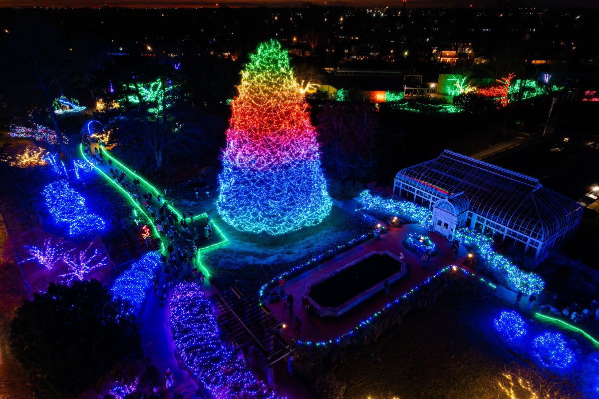 Countdown the lighting of the award-winning Big Tree to kickoff the 37th annual #LightsBeforeChristmas presented by KeyBank! 🎄✨

The tree lighting ceremony will be on Nov. 18 at approximately 6 p.m. &amp; broadcast live on WTOL 11. 

Reservations required: toledozoo.org/lights