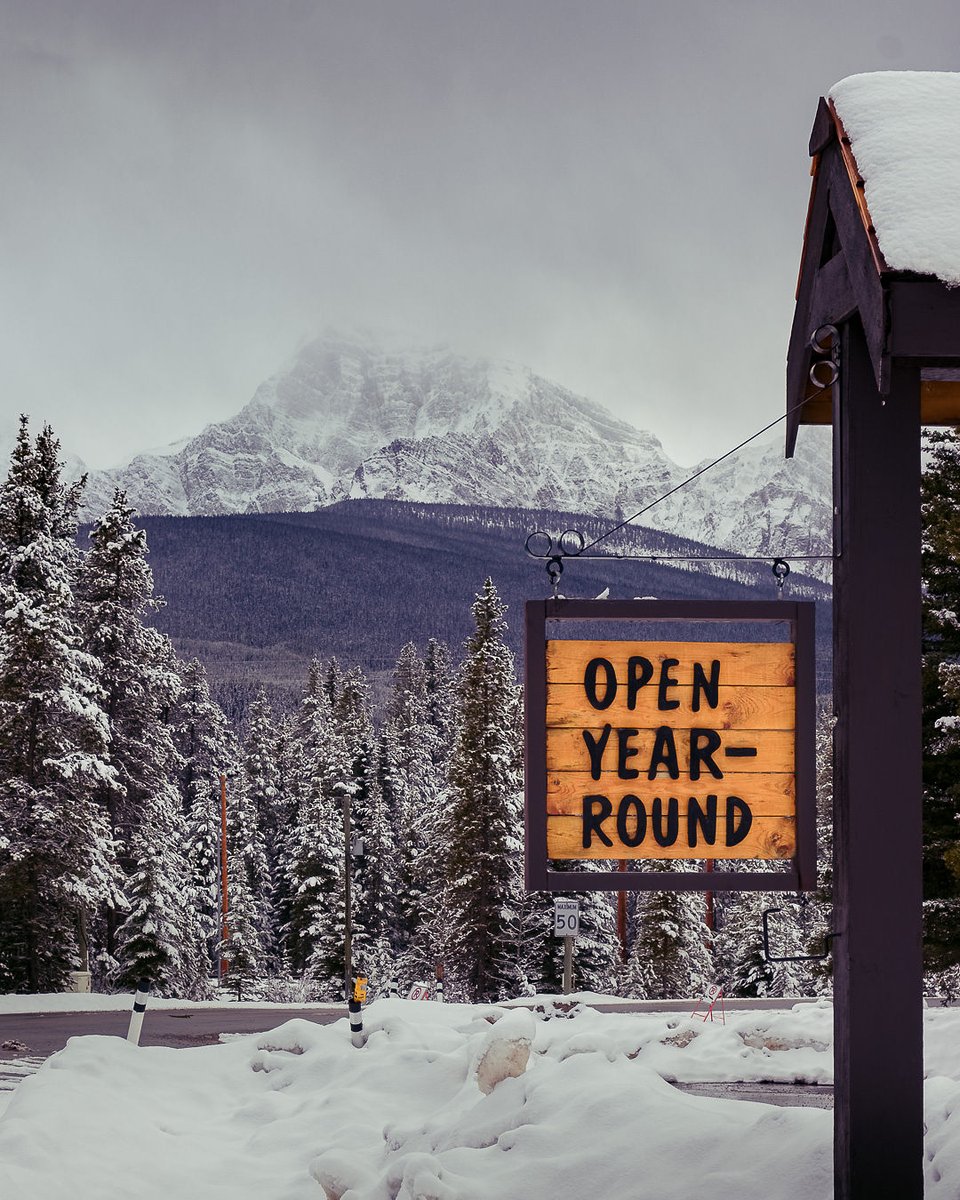 CastleMountain2's tweet photo. Did you know we are open year round? 😱 Come stay at our beautiful resort.

Book you stay at https://t.co/kpObDtYJlp

#castlemountain #castlemountainchalets #banff #travel #travelalberta https://t.co/JPsewCmbMX