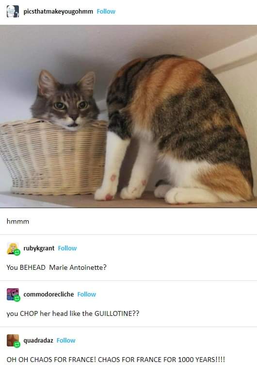 WiseWyzard's tweet image. 