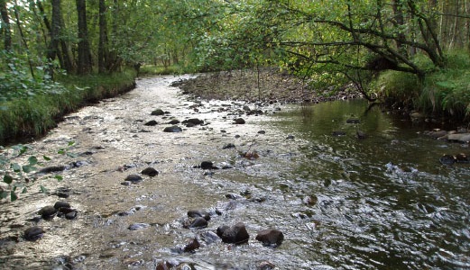 Scot Gov Marine tweet media