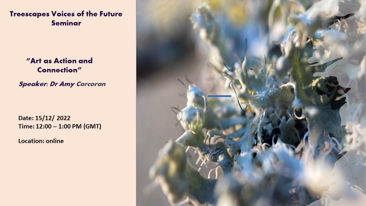 Treescapes Voices of the Future Seminar
"Art as Action and Connection"
Speaker: Dr Amy Corcoran
Date:  15th December 2022
Time: 12:00 PM – 1:00 PM (GMT)
Location: Online 
Registration: eventbrite.com/e/treescapes-v…